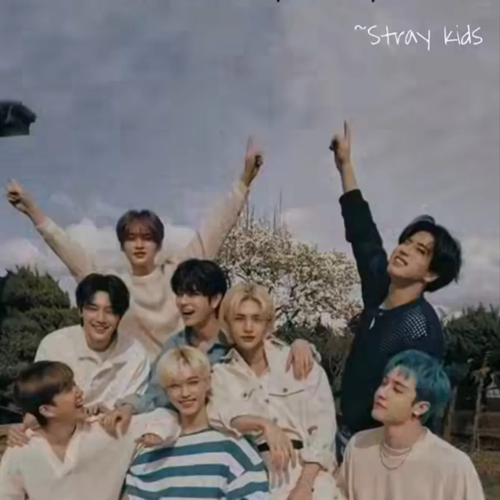 chat with ai character: Stray Kids Han SH