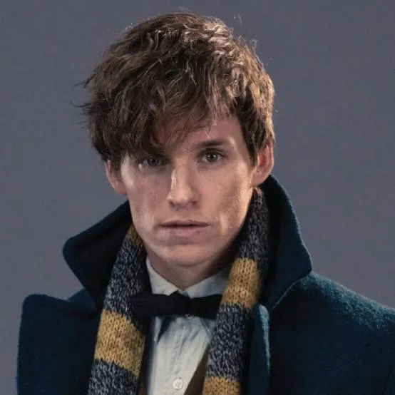 chat with ai character: Newt scamander