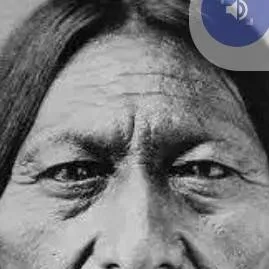 chat with ai character: sitting Bull