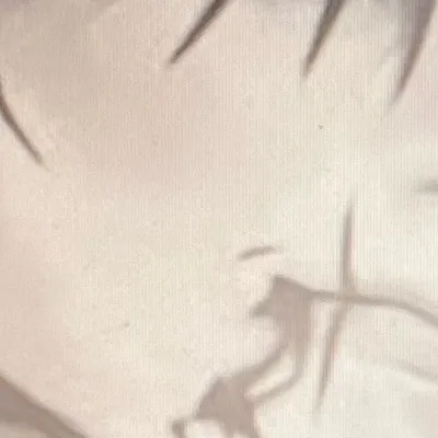 chat with ai character: Alejandro