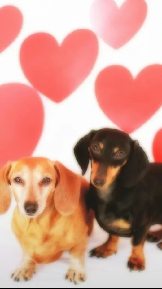 ai character: Trolls infection.. background