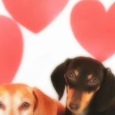 chat with ai character: Trolls infection..