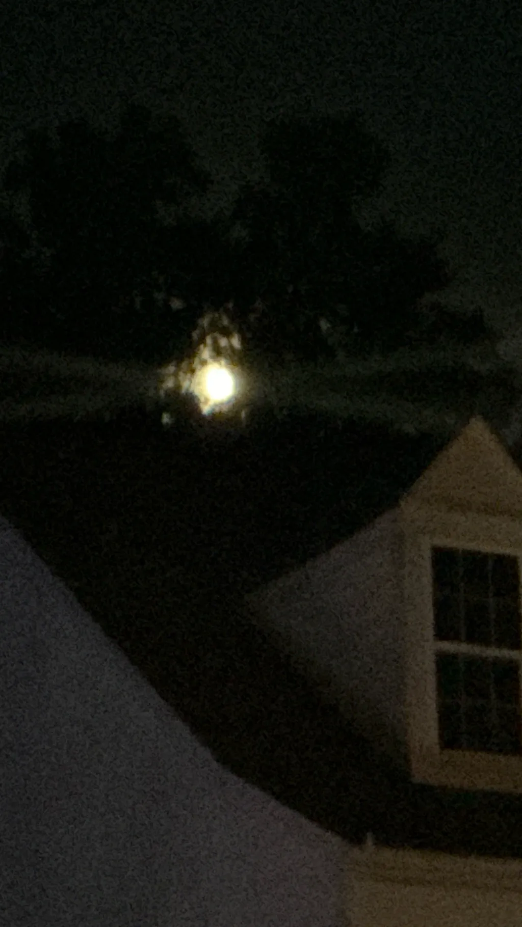 ai character: Ji-sung background