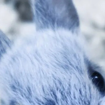 chat with ai character: Baby blue bunny￼