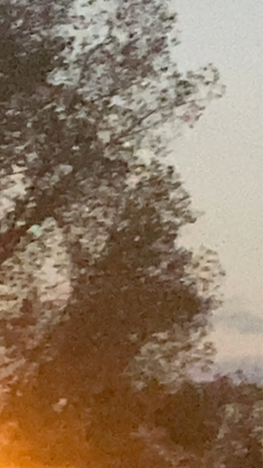 ai character: Roll your eyes background