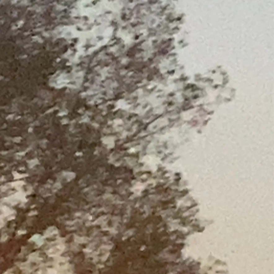 chat with ai character: Roll your eyes