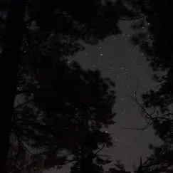 chat with ai character: The dark woods
