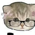 chat with ai character: adopt a kitty