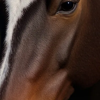 chat with ai character: Thunder