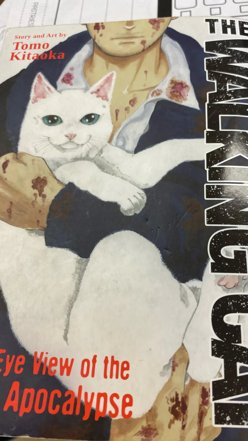 ai character: The walking cat. background