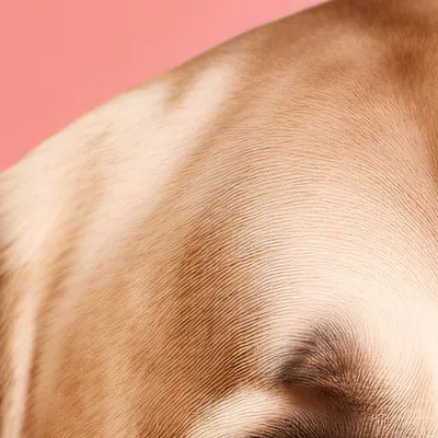 chat with ai character: Mark