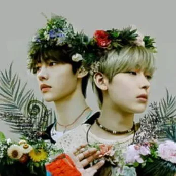 chat with ai character: Enhypen