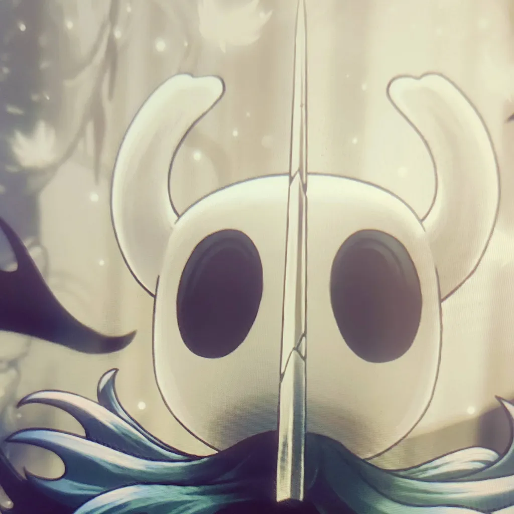 chat with ai character: Hollow knight