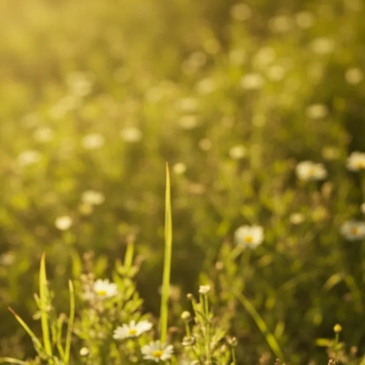 chat with ai character: grass
