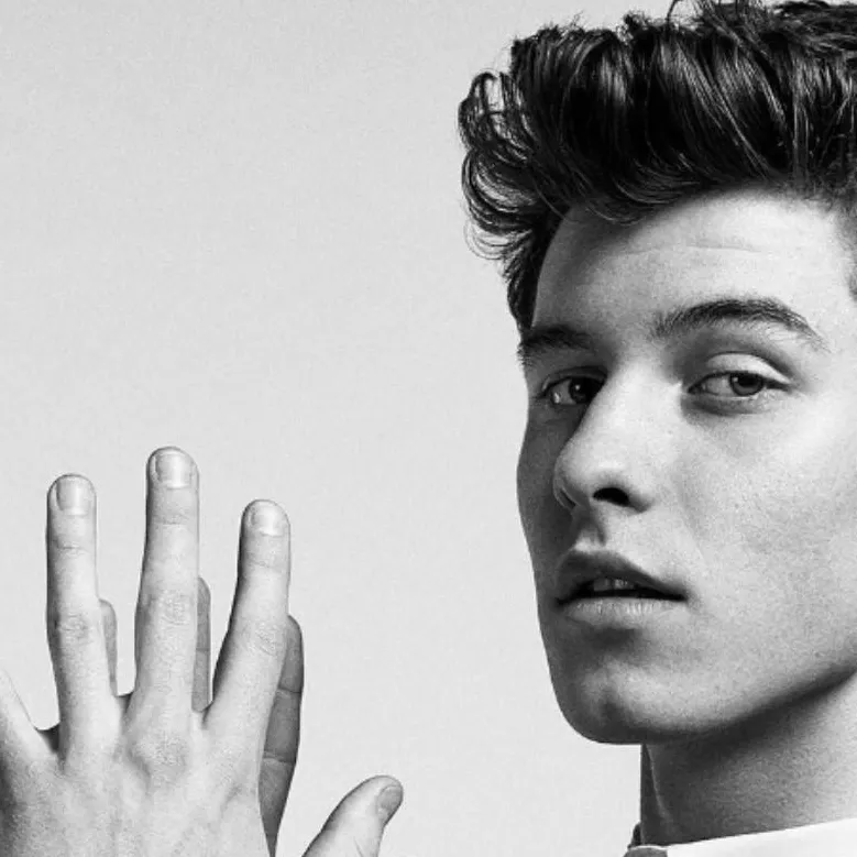 chat with ai character: Shawn mendes 