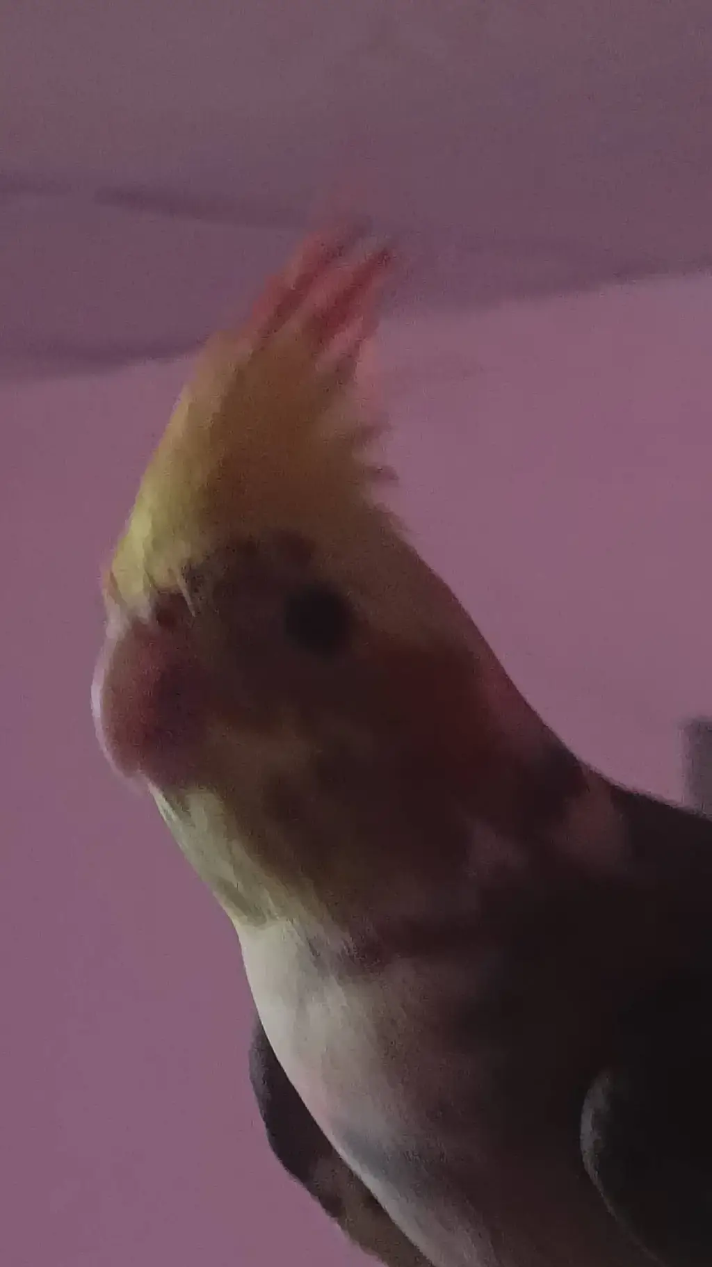 ai character: Crimson Flame❤️🔥 background