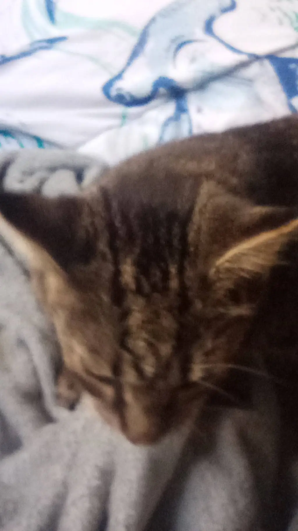 ai character: cat background