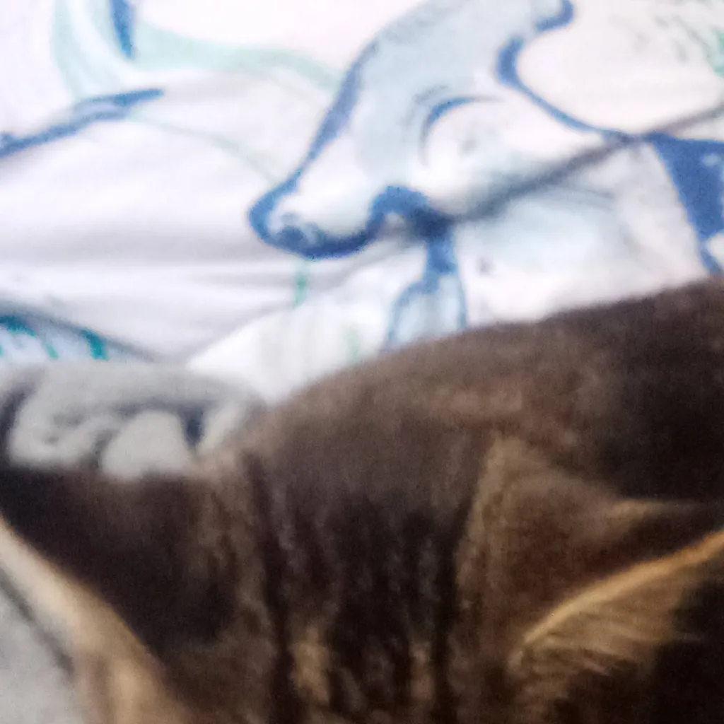 chat with ai character: cat