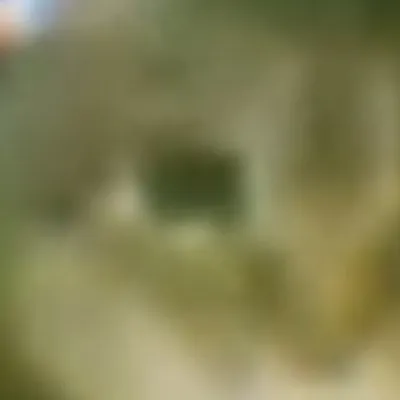 chat with ai character: OllAlOlllAl