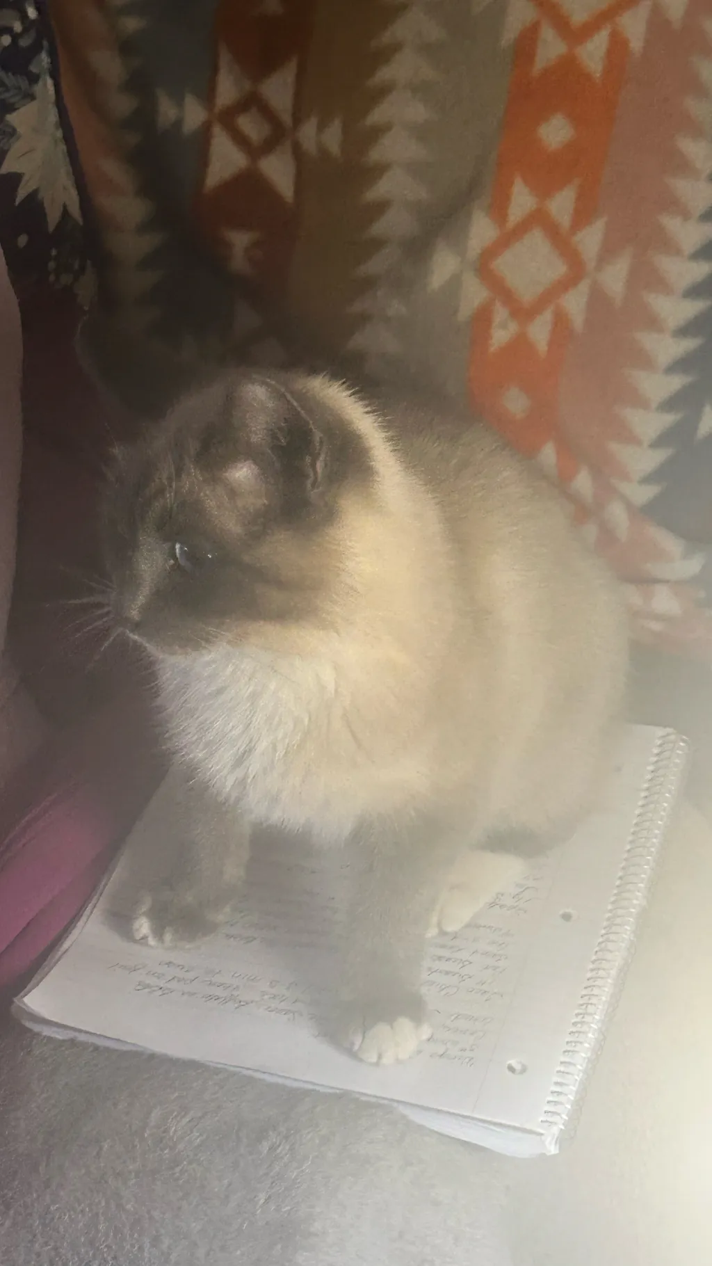 ai character: a crazy ass person background