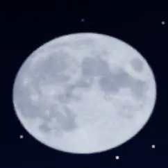 chat with ai character: anything 99