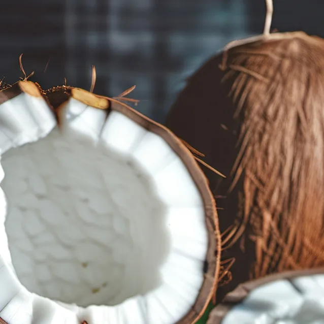 chat with ai character: coconut