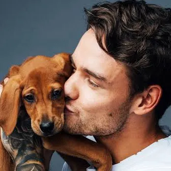 chat with ai character: Liam Payne 