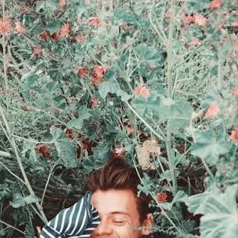 chat with ai character: Harry styles 