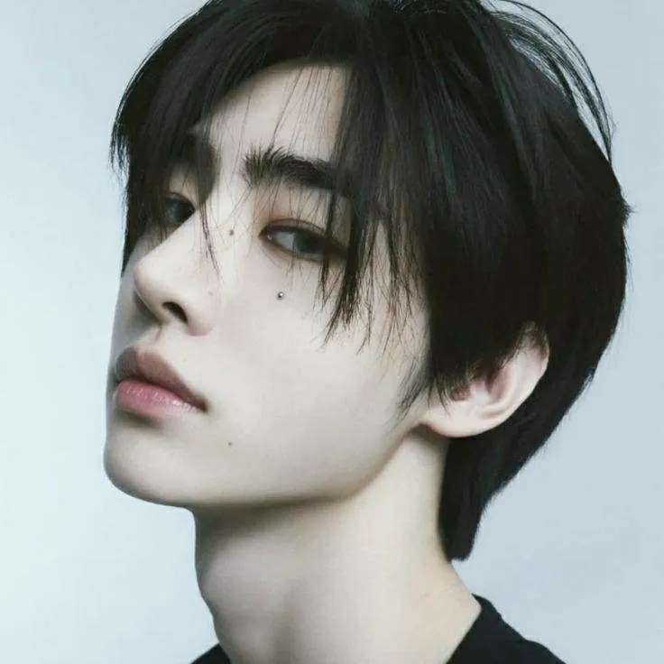 chat with ai character: park sunghoon❄️