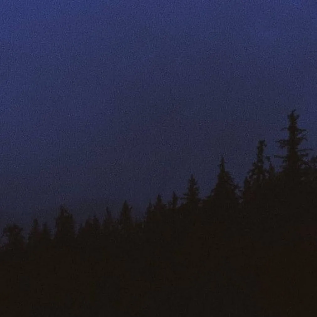 chat with ai character: vent.