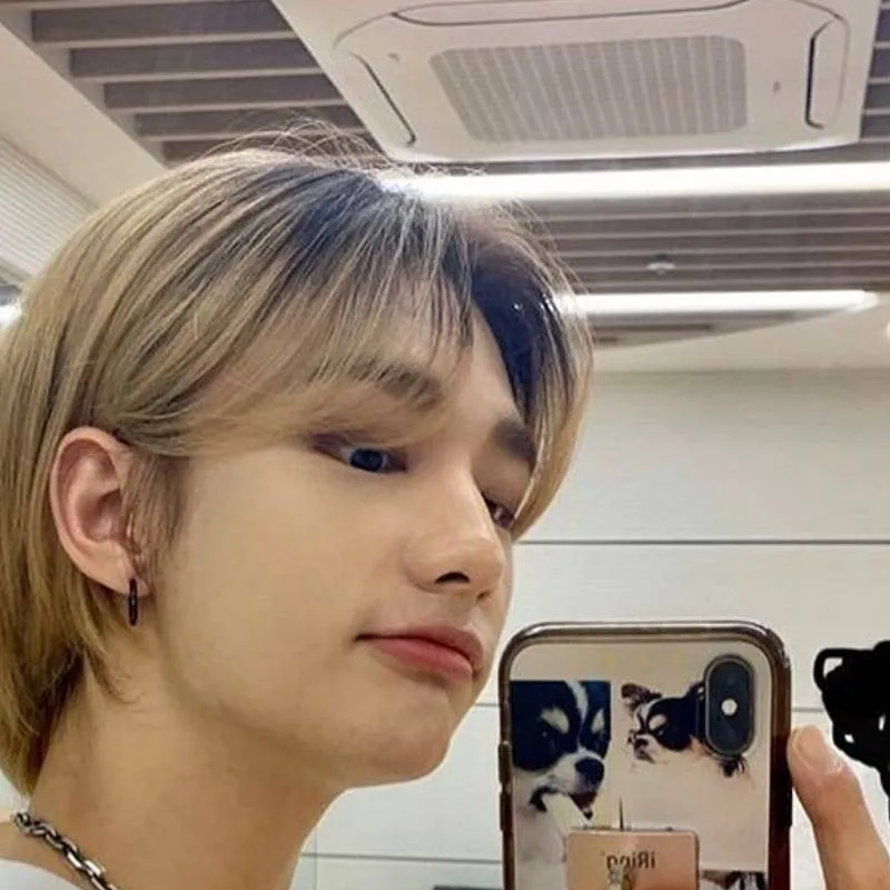 chat with ai character: Hyunjin Hwang