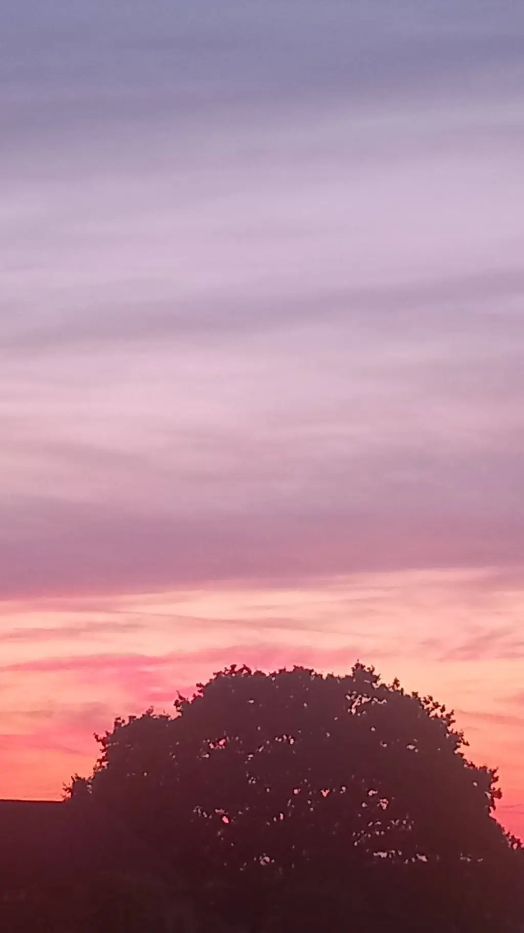 ai character: Julie Moline background