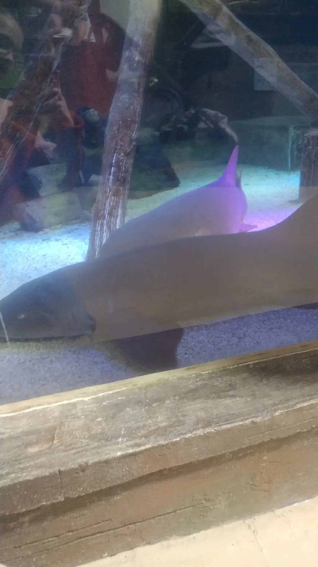 ai character: mha new student  background