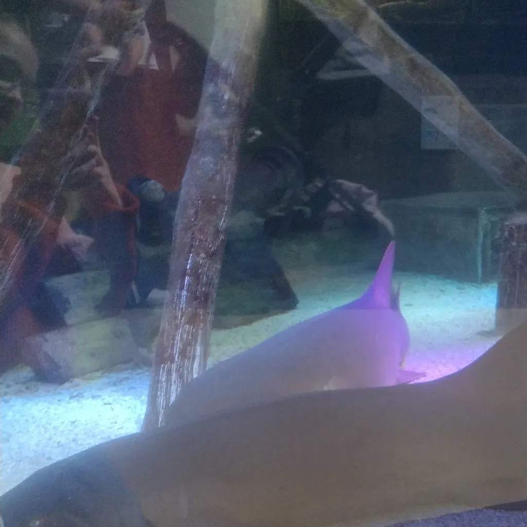 chat with ai character: mha new student 