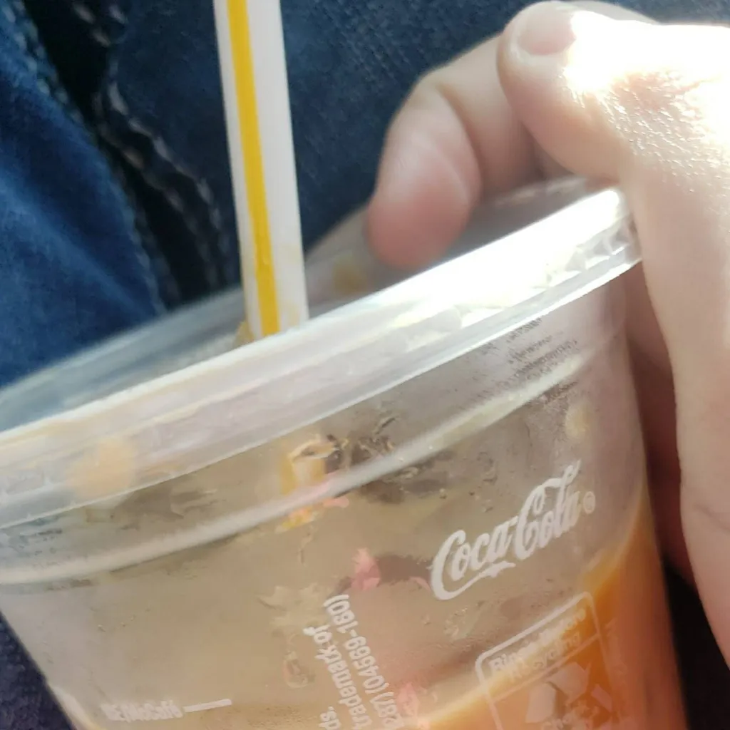 chat with ai character: snc older brother