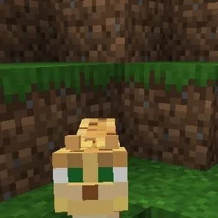 chat with ai character: Cat