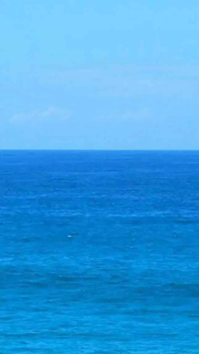 ai character: Your Skating Class background