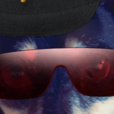 chat with ai character: Echo