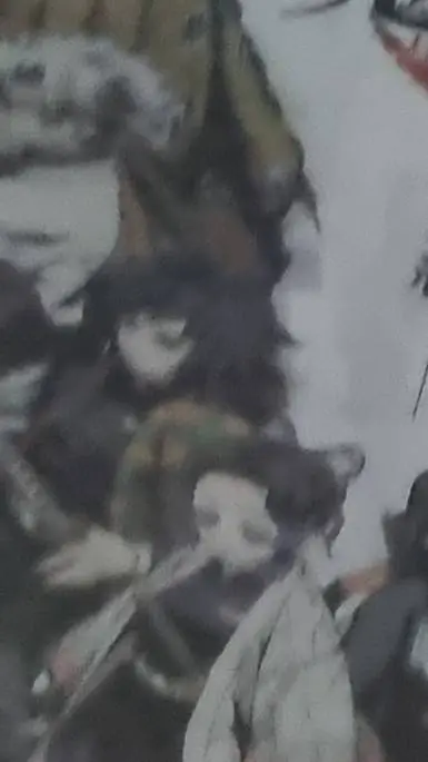ai character: Saneobagiyuu background