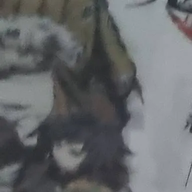 chat with ai character: Saneobagiyuu