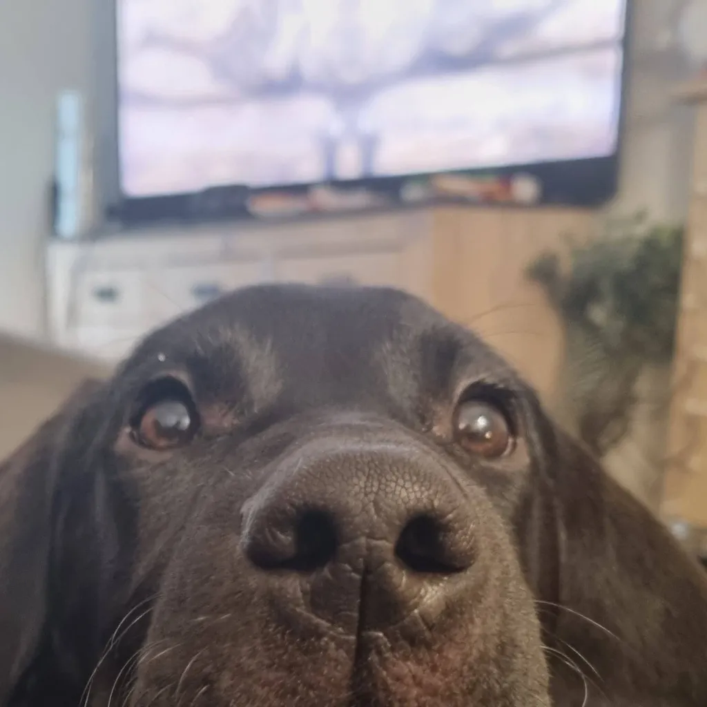 chat with ai character: Saneobagiyuu