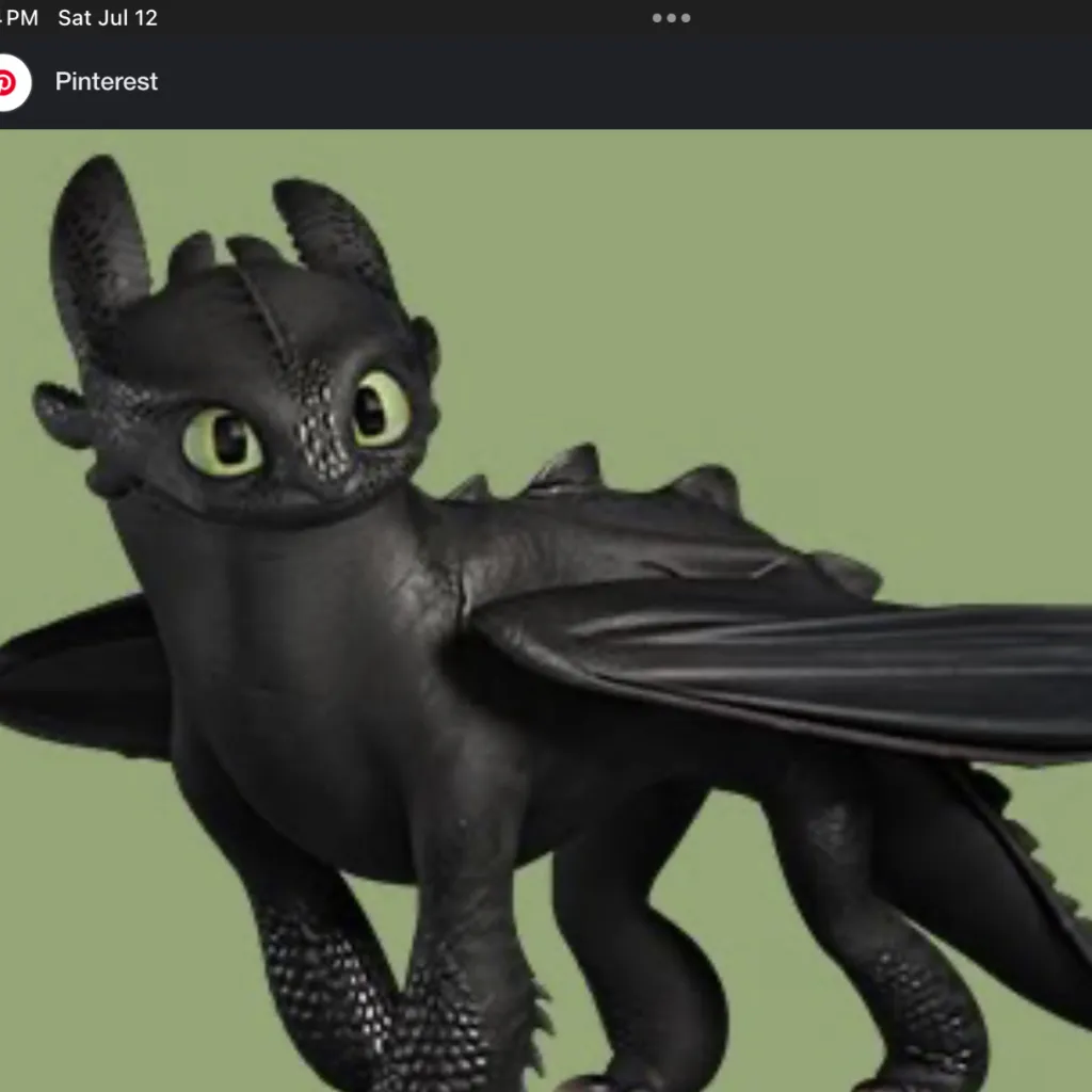 chat with ai character: Httyd