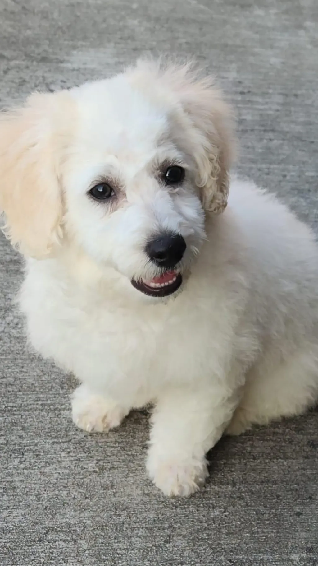 ai character: Coconut  background