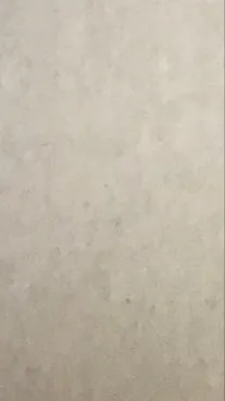 ai character: fpe background