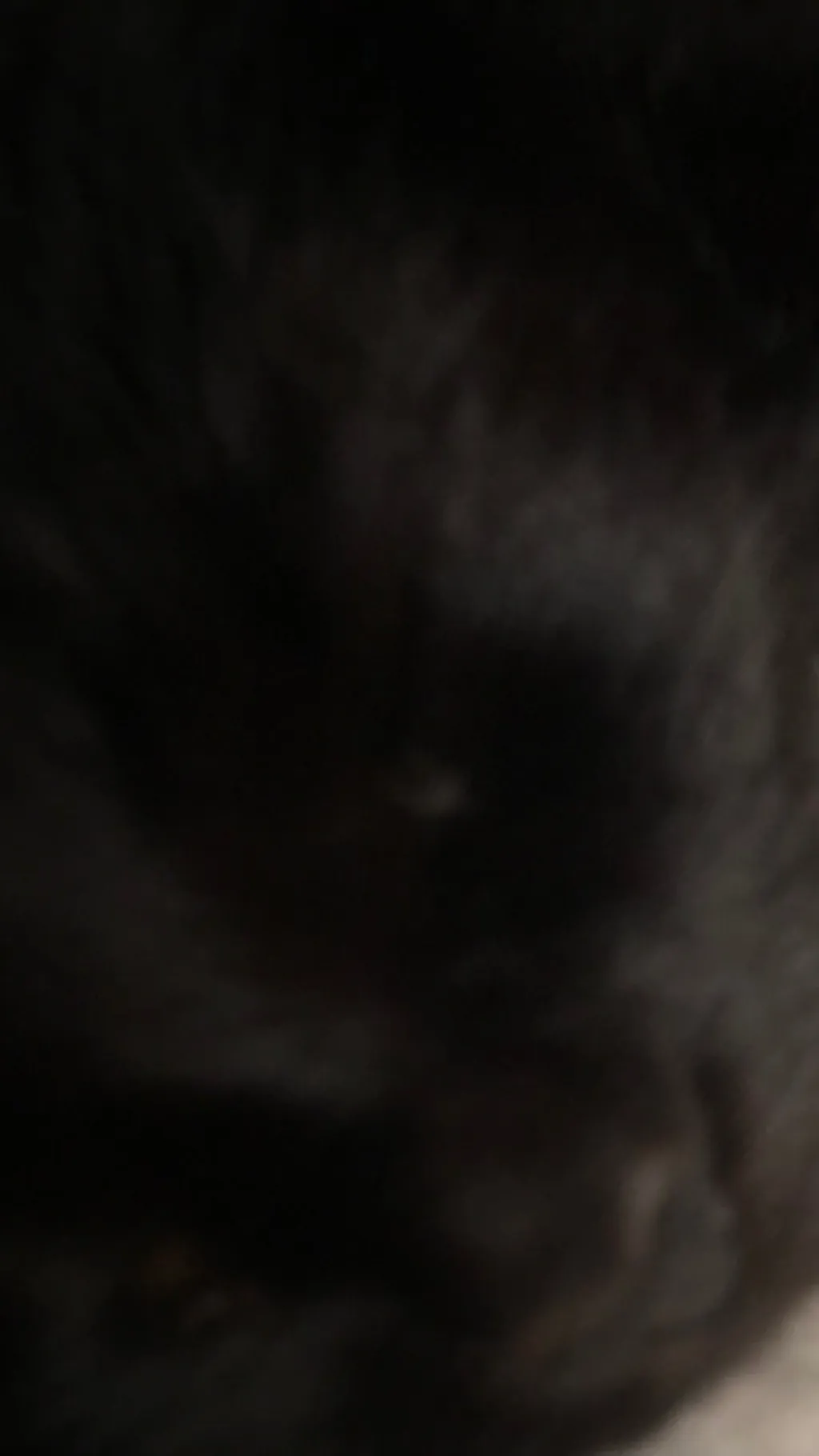 ai character: Boys sleepover  background