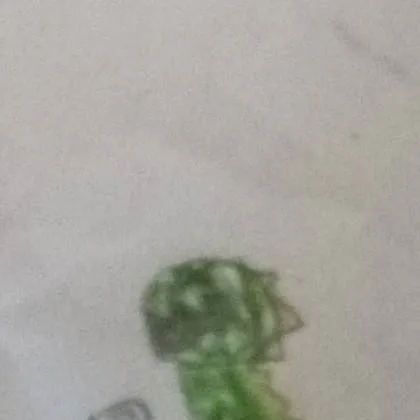 chat with ai character: shelly fossilan