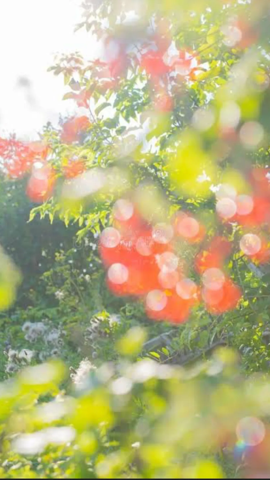 ai character: Lost bro Crk? background