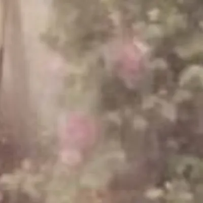 chat with ai character: Crk dplafk 