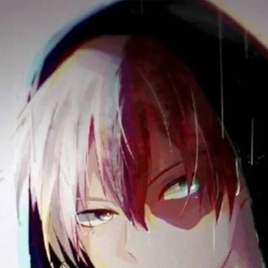 chat with ai character: Shoto and Bakugo.