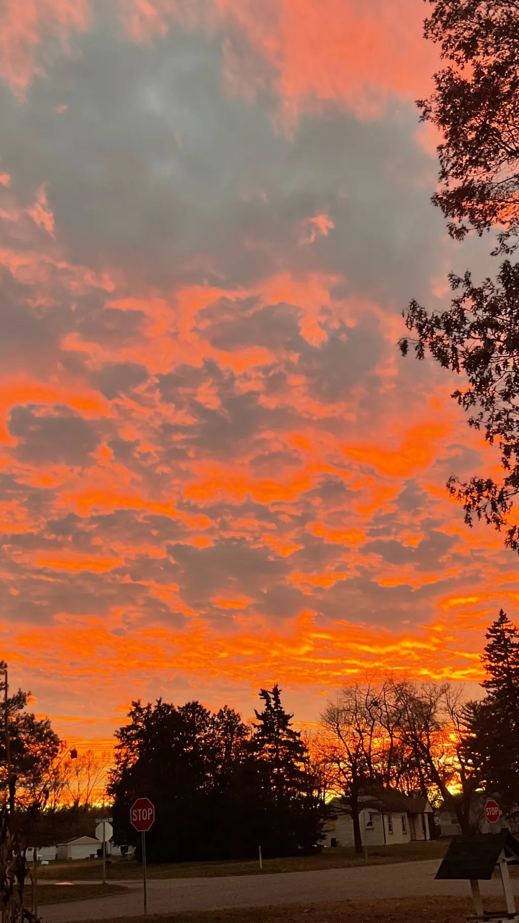 ai character: Volleyball  background